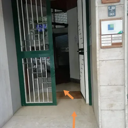 Monroe Palermo